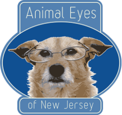Animal Eyes of NJ - Preserve Your Pet's Vision and Quality of Life