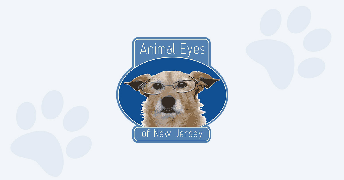 Animal Eyes of NJ - Preserve Your Pet's Vision and Quality of Life